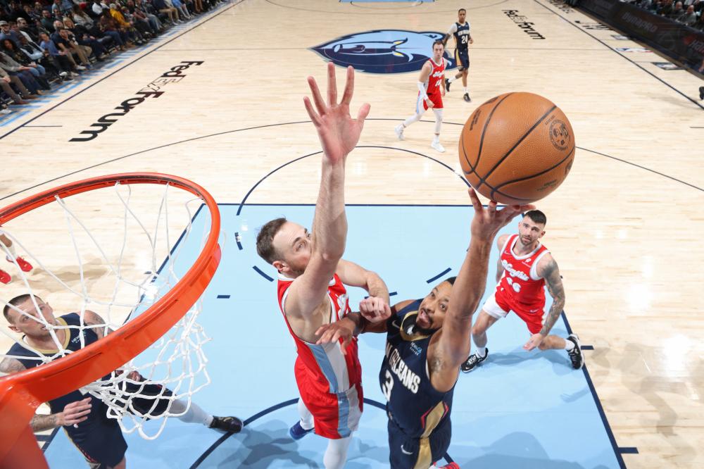 多项荣誉 多项荣誉